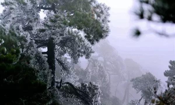 神舞幻想